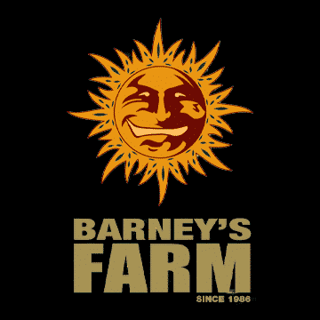 Barney’s Farm: From Himalayan Landraces to Global Cannabis Legacy