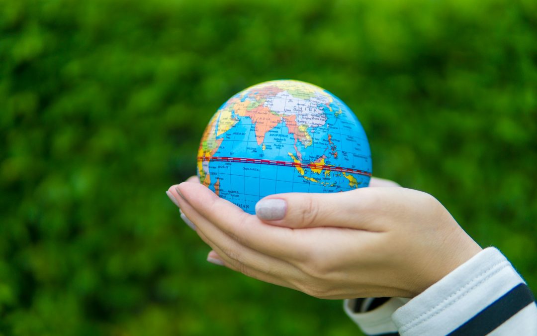 Everything Is Political: Why Systemic Change Can’t Wait